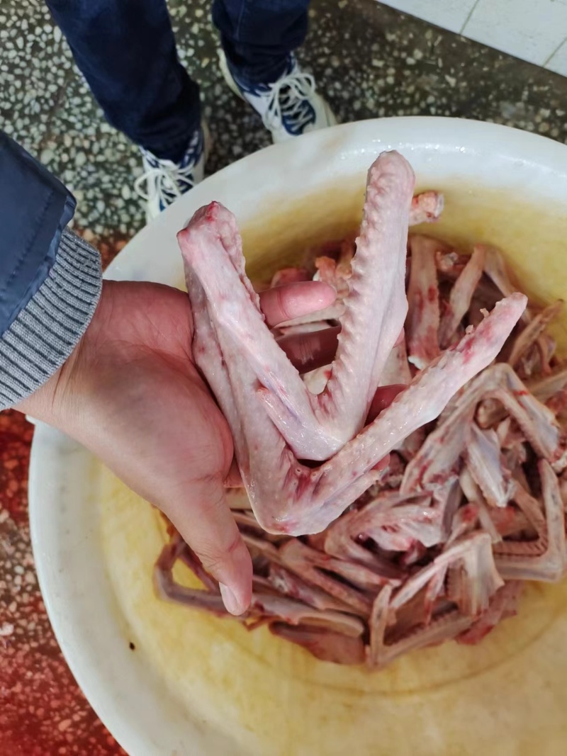 鹅翅