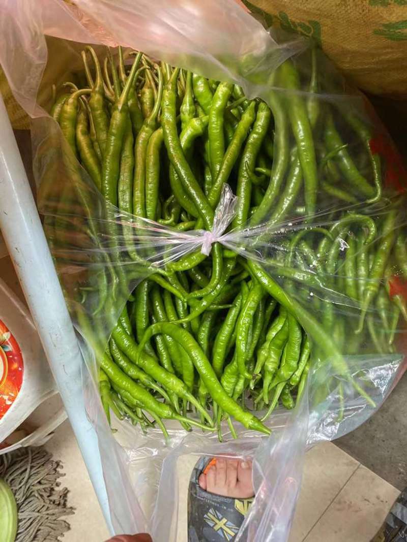 精品线椒品质保证诚信经营欢迎联系接商超市场电商