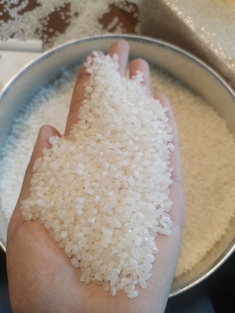 南粳9108，一级香米，厂家直销，一手货源