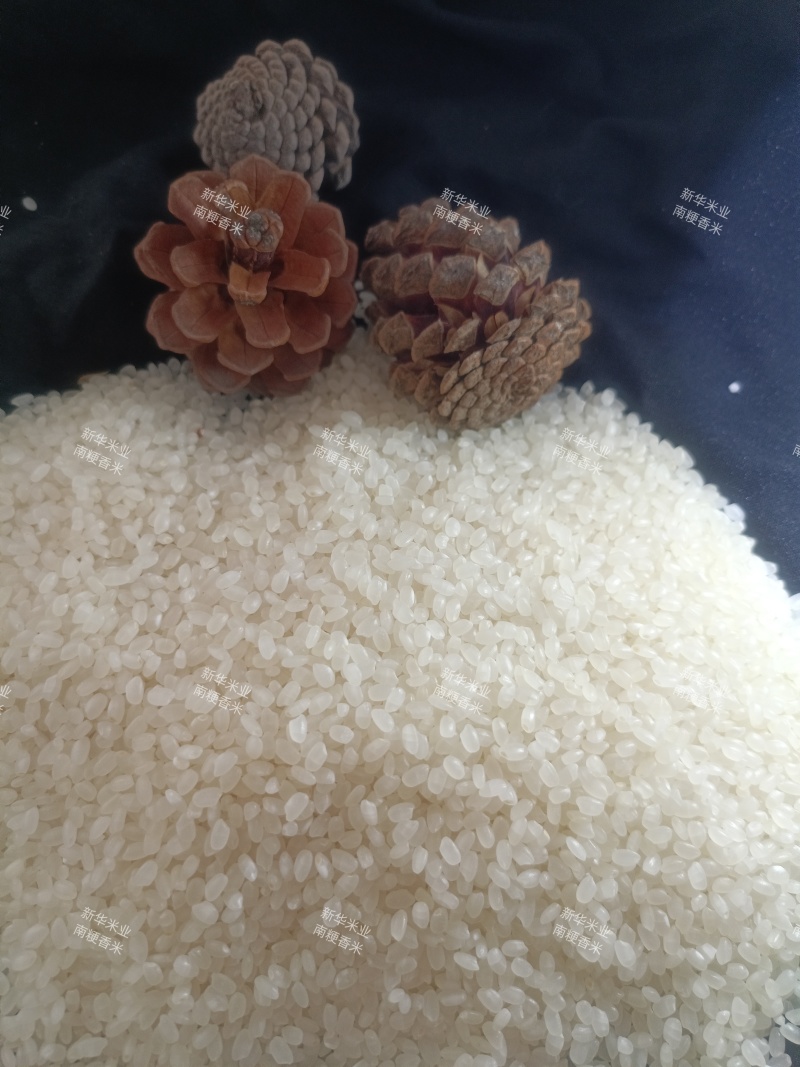 南粳9108，一级香米，厂家直销，一手货源