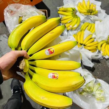 特价二黄蕉，毛重30斤，只要几毛钱一斤，不硬心、不黑芯