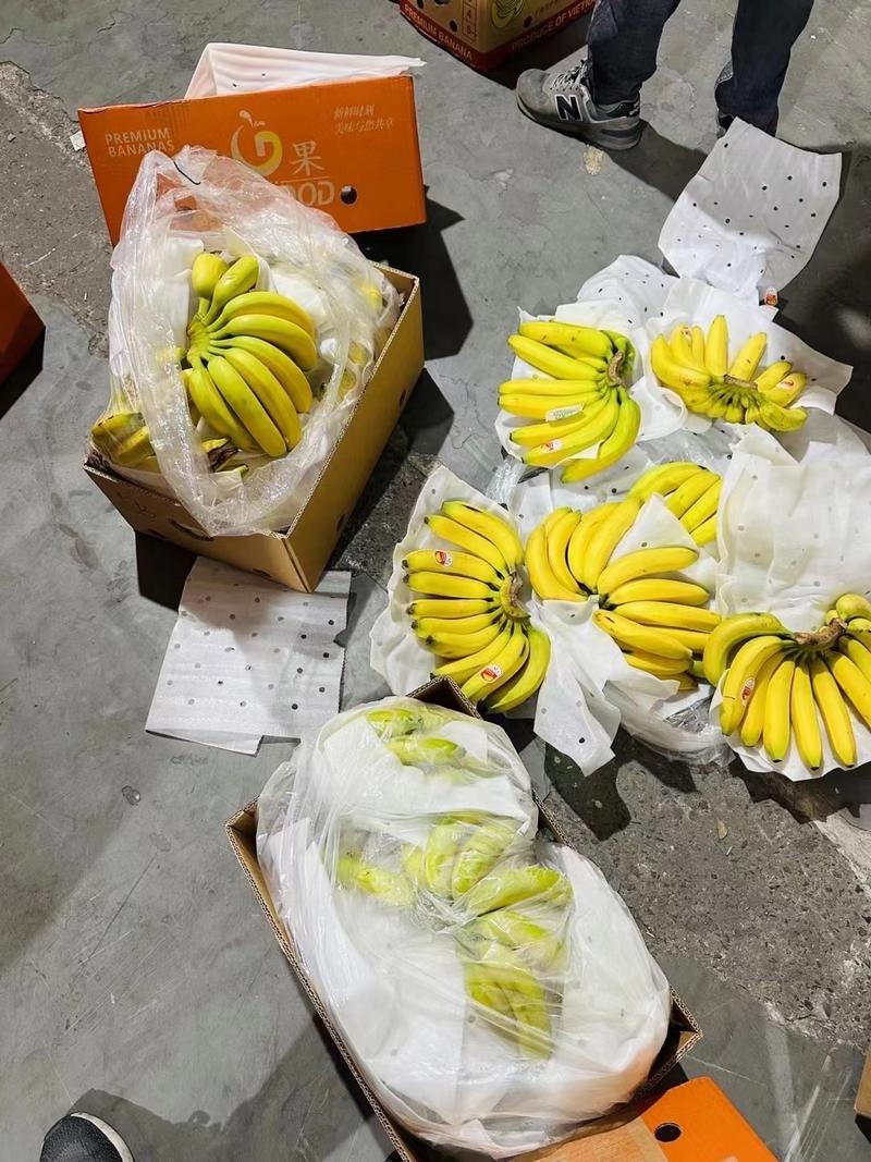 特价二黄蕉，毛重30斤，只要几毛钱一斤，不硬心、不黑芯