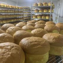 炬福老式脆皮大面包，一箱16个，源头工厂，厂家直销，全国发货