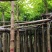 火焰木基地直销规格齐全有需要的老板欢迎来电咨询合作