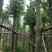 秋枫基地直销规格齐全有需要的老板欢迎来电咨询合作