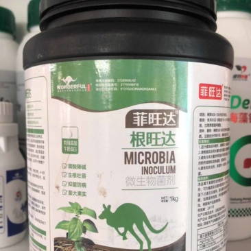 根旺达微生物菌剂生根养根爆发性生根，打破板结，预防根腐