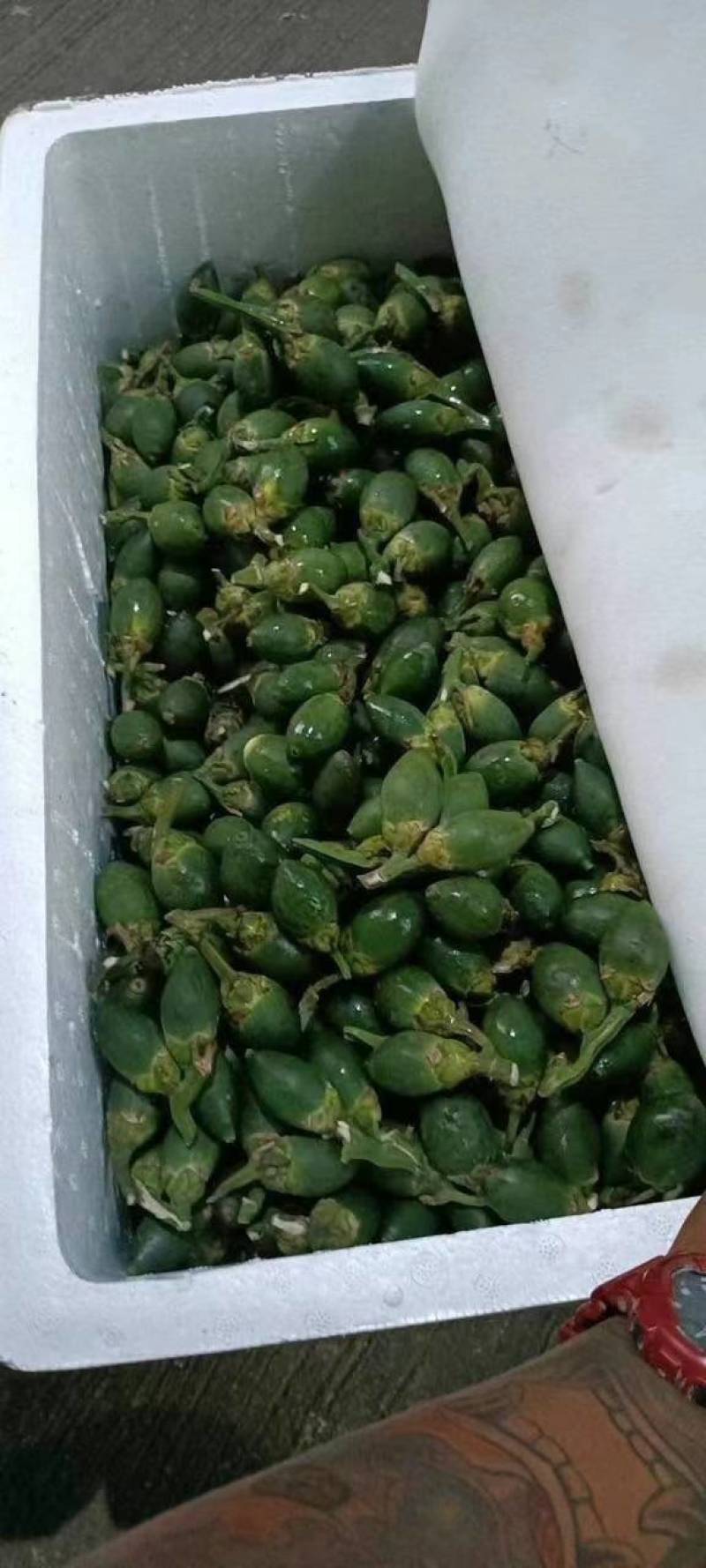 干槟榔新鲜槟榔大量现货