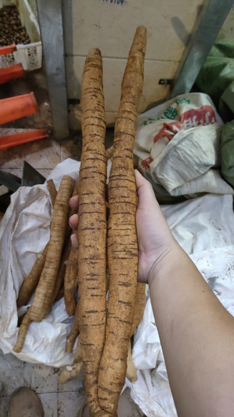 优质牛大力随时可聊价格美丽无添加保证