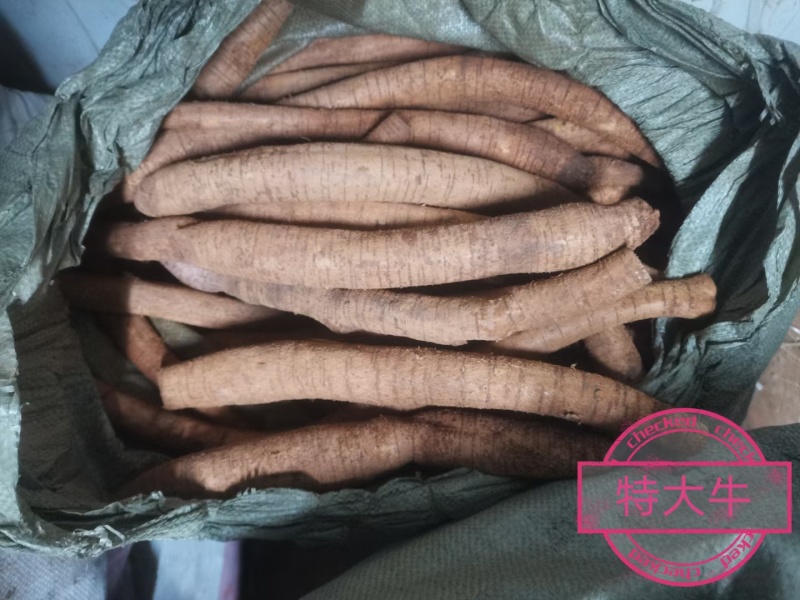 优质牛大力随时可聊价格美丽无添加保证