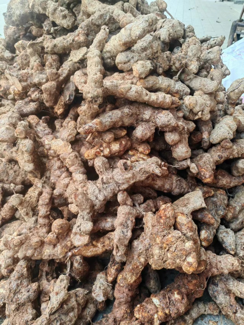 欢迎电话咨询自产自销土茯苓品质保证价格美丽