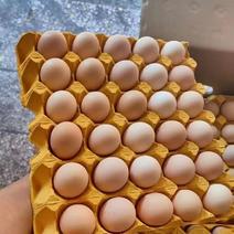 纯正农家散养土鸡蛋柴鸡蛋五谷营养批发新鲜鸡蛋