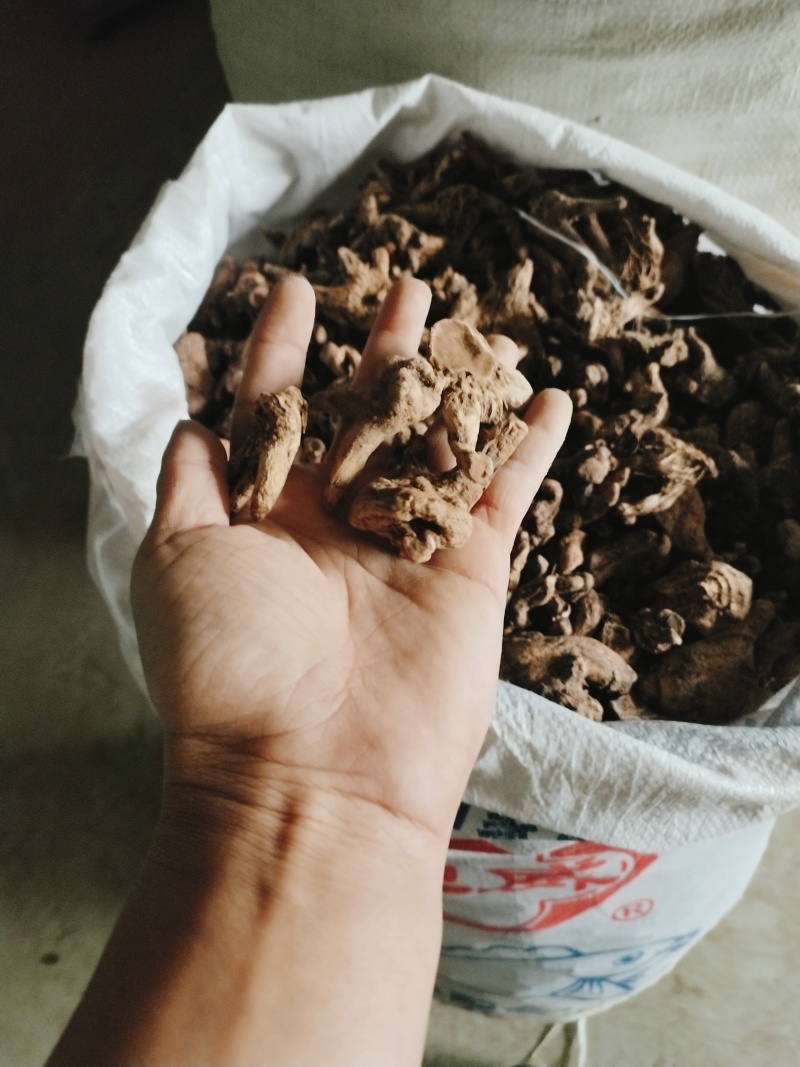 白芨现货供应保质保量量大从优价格实惠