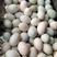白鸭蛋水洗蛋，裂纹蛋，精纹蛋，散黄蛋，泥淹散黄蛋