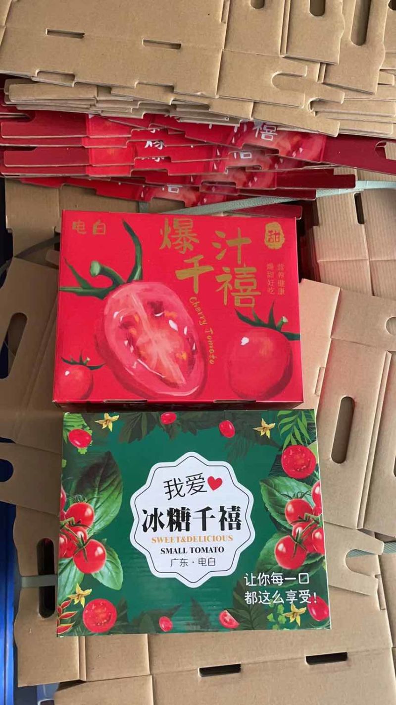 【电白千禧圣女果】现大量上市欢迎电商社区团购市场合作