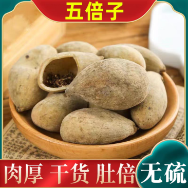 五倍子中药材圆倍角倍规格齐全批发零售