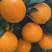 湖南江永夏橙大量上市中，皮薄肉甜，多汁，有需要的联系