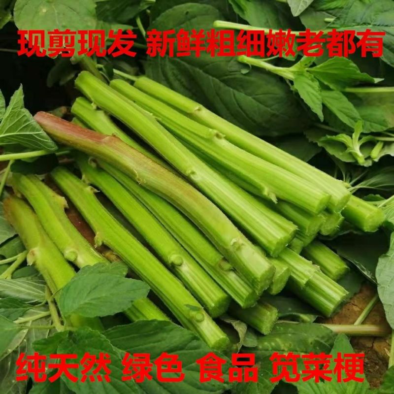 汉菜