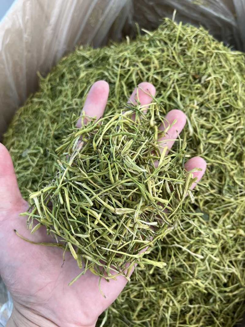 批发金银花