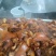 【熟食猪肉】全熟带皮核桃肉（卤香味十足带核桃肉带猪脸）