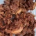 【熟食猪肉】全熟带皮核桃肉（卤香味十足带核桃肉带猪脸）