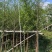 金叶水杉树基地直销规格齐全欢迎老板来电咨询合作