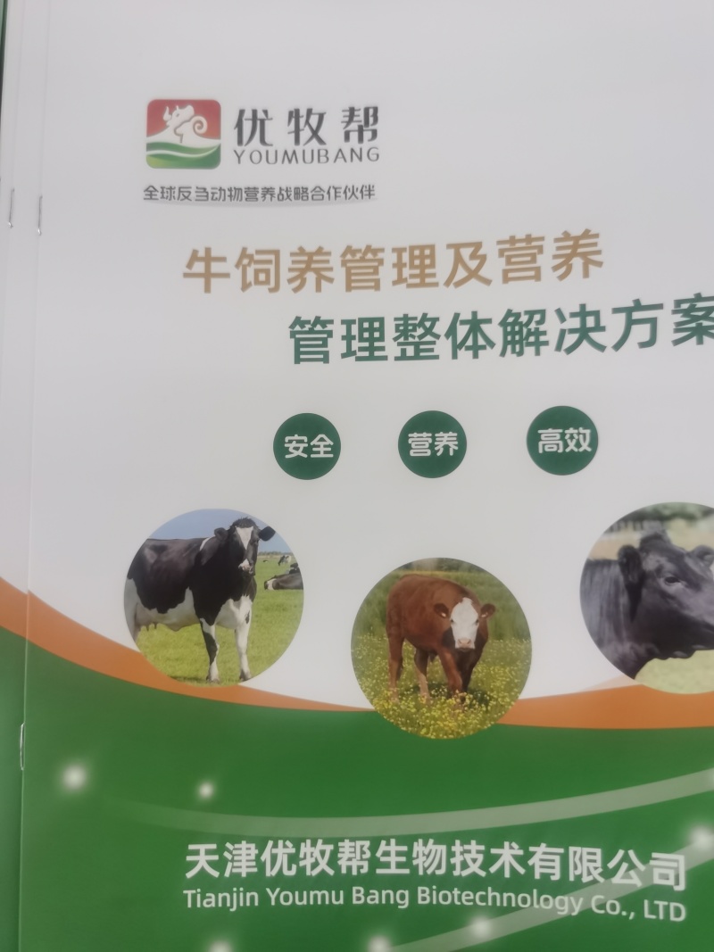 含量丰富科学组方效果突出大厂铸造质量保证