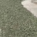 银杏叶，干树叶，杂树叶