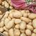 山东临沂郯城精品黄心土豆大量上市，质量很好价格不高，欢迎实地