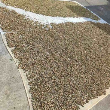 覆盆子，中药材，浙江大颗粒覆盆子