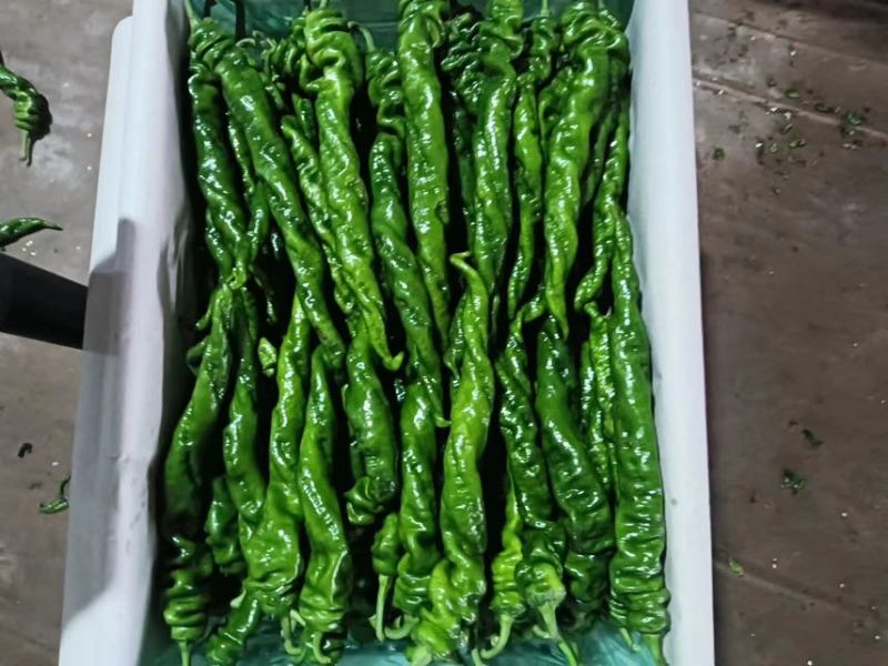 问价比成