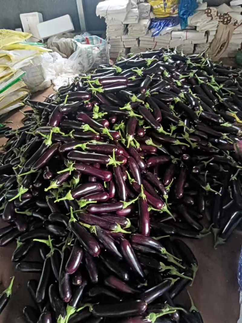问价比成