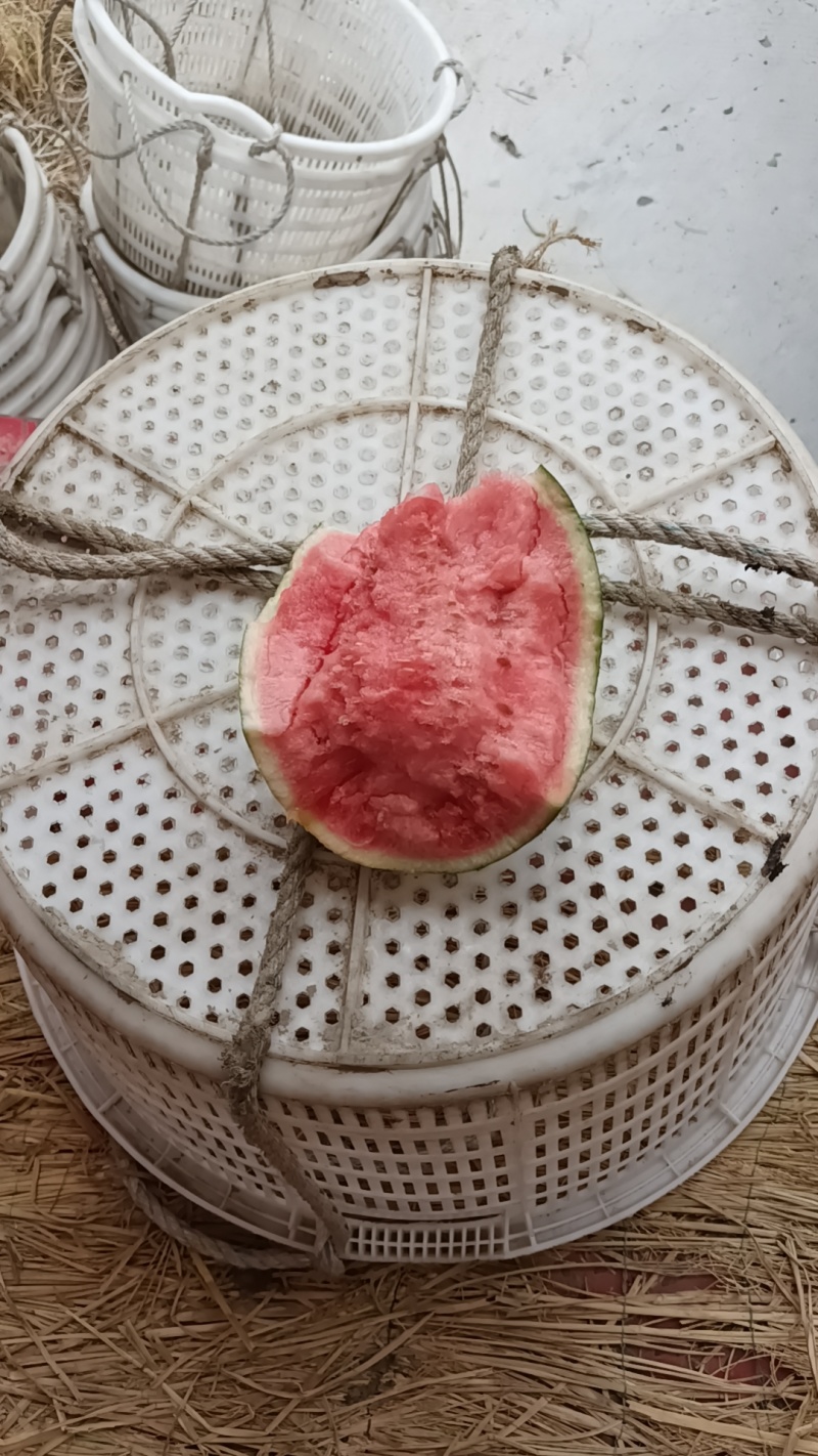 豌豆角基地，欢迎新老顾客，合作共赢？