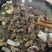 齐齐哈尔烤肉，一件起发，品质好，包邮欢迎选购