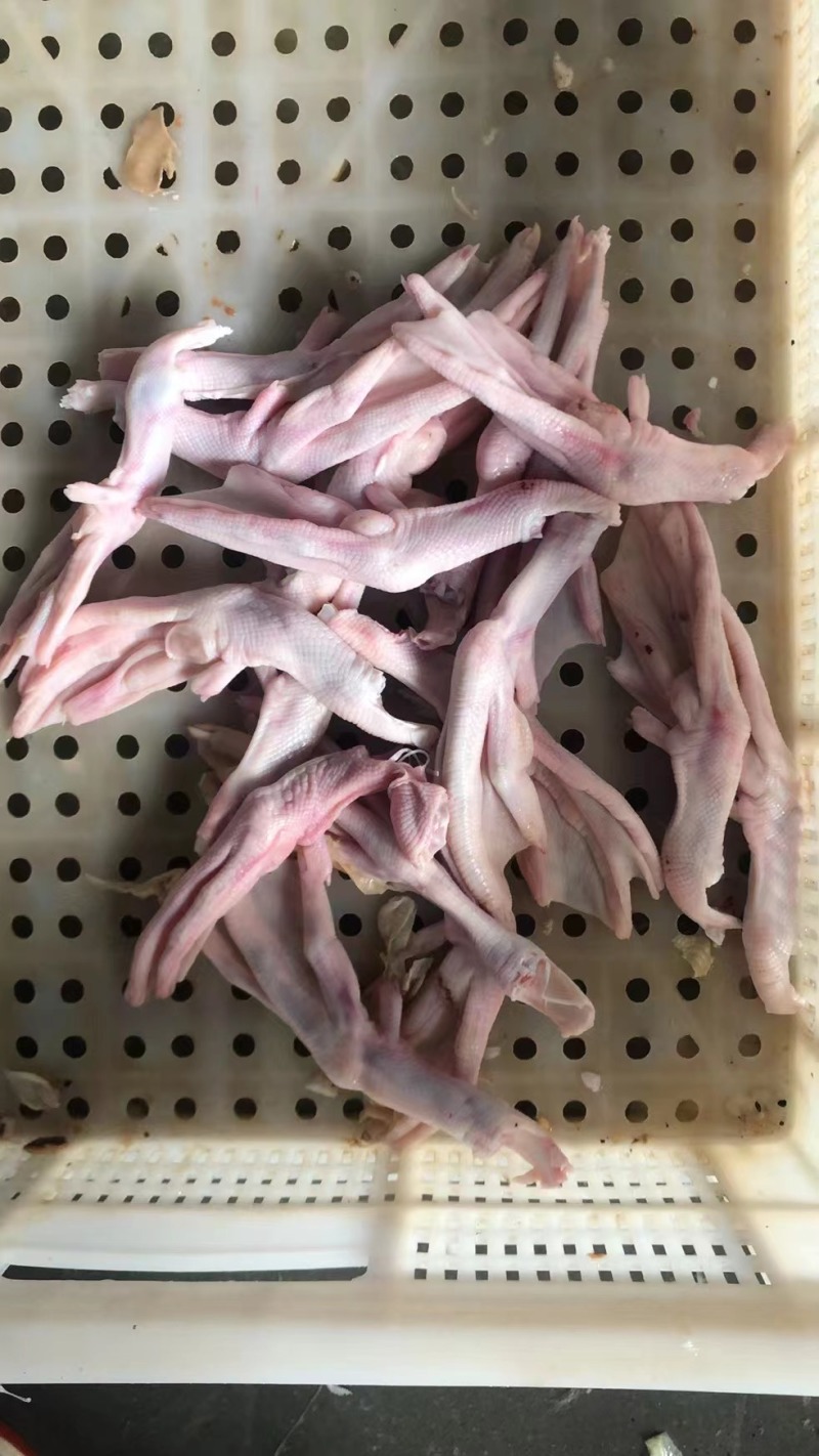 鸭掌
