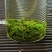 丽水精品乌牛早香茶，千顷茶园，规格齐全欢迎选购