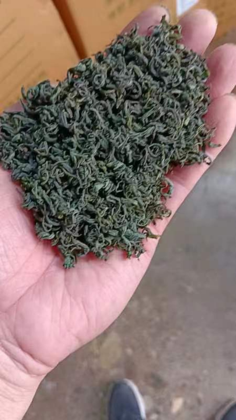 丽水精品乌牛早香茶，千顷茶园，规格齐全欢迎选购
