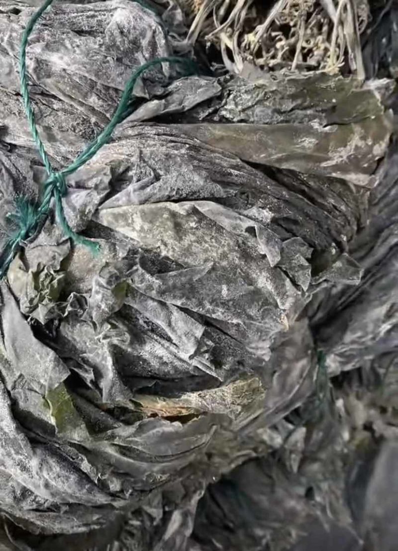 福建干海带，物美价廉，欢迎福