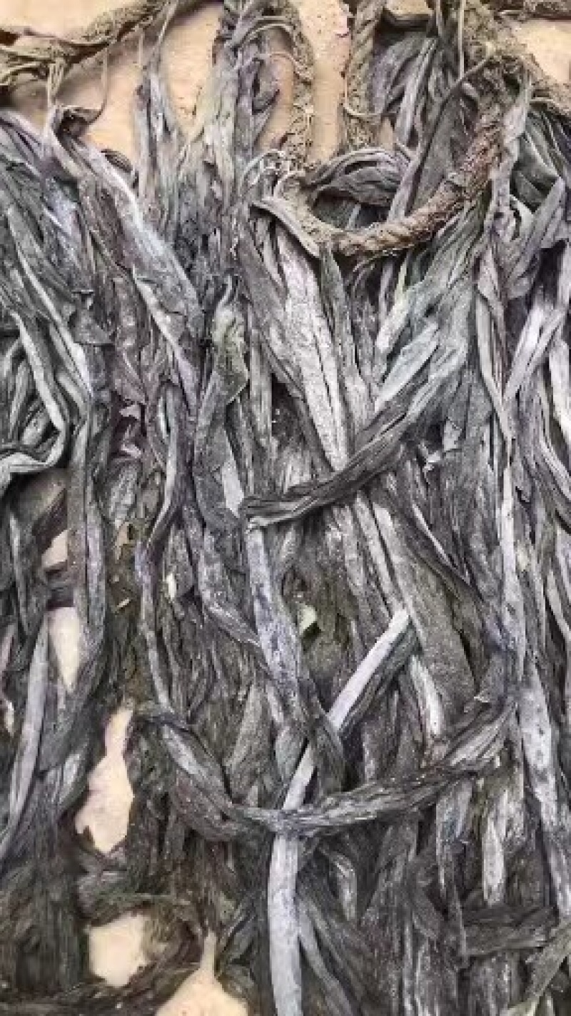 福建干海带，物美价廉，欢迎福