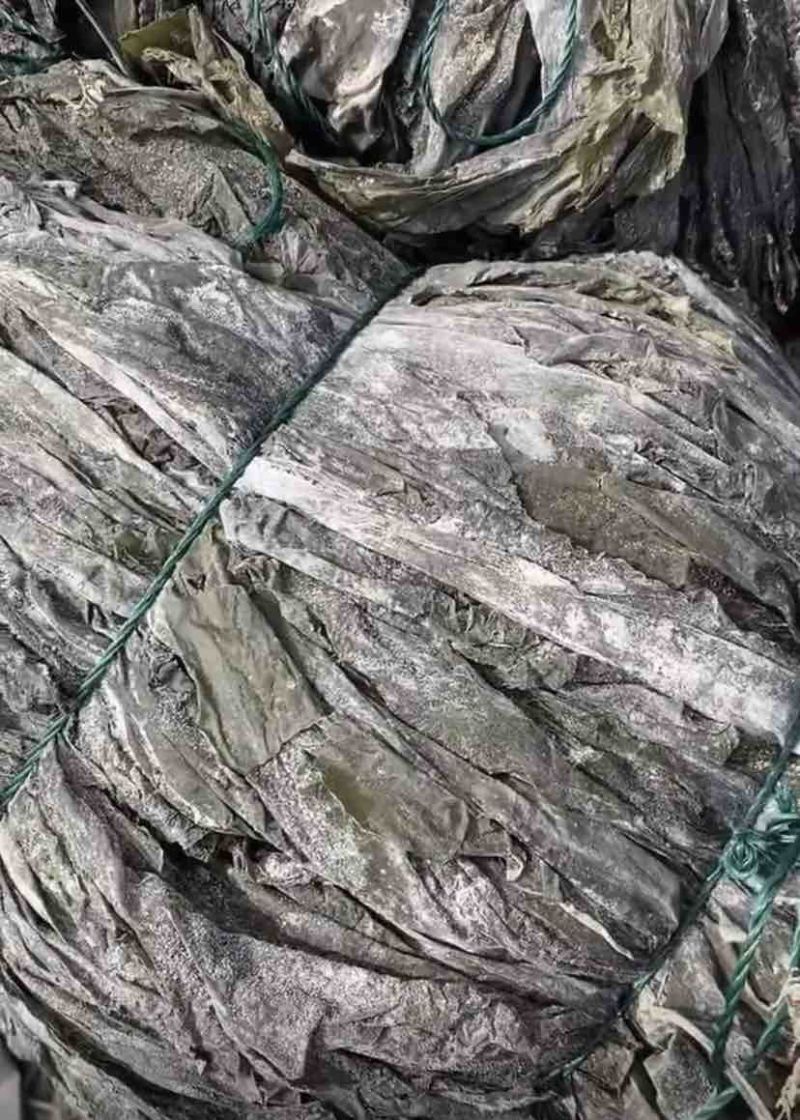 福建干海带，物美价廉，欢迎福