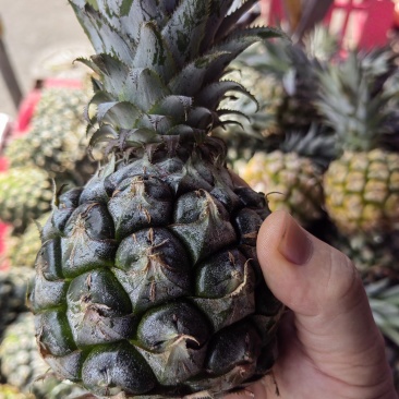 手撕凤梨