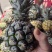 手撕凤梨
