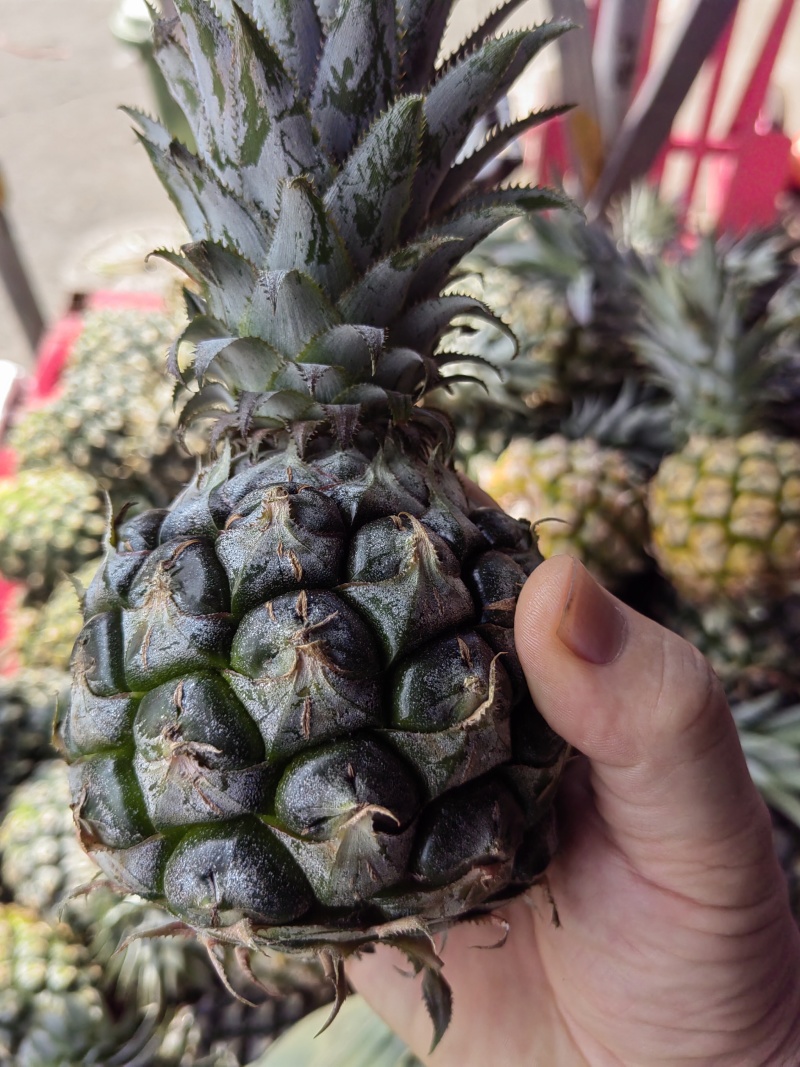 手撕凤梨