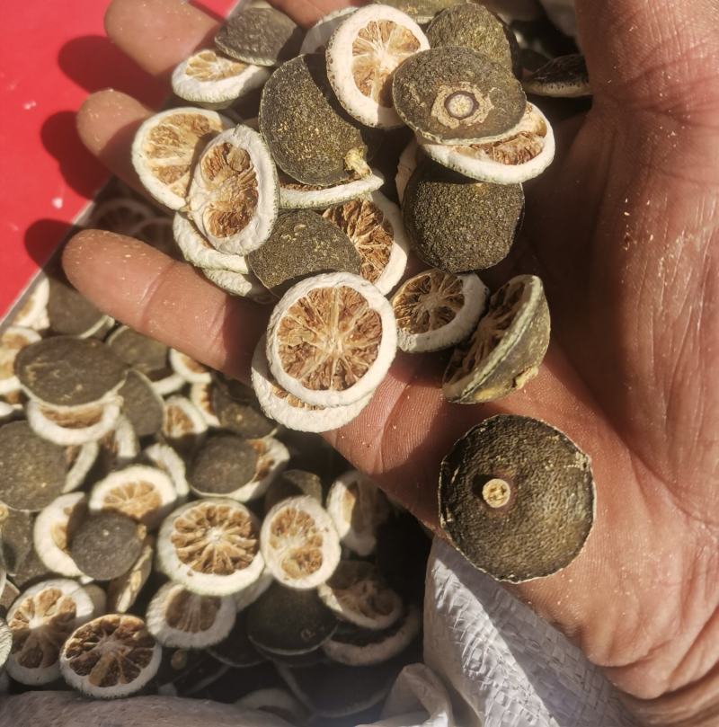 青皮