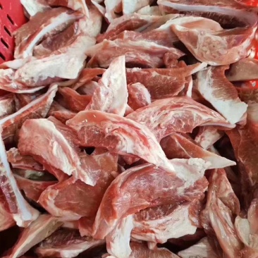 多肉猪眉骨货源充足量大从优