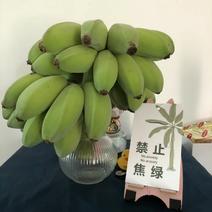 (禁止焦虑)香蕉办公室养水果拒绝焦虑可食苹果蕉。