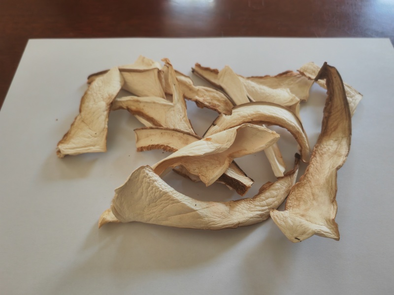 白虎掌菇片