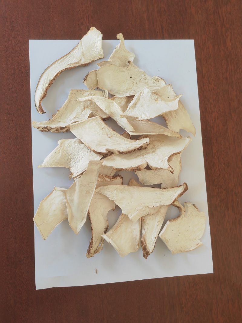 白虎掌菇片