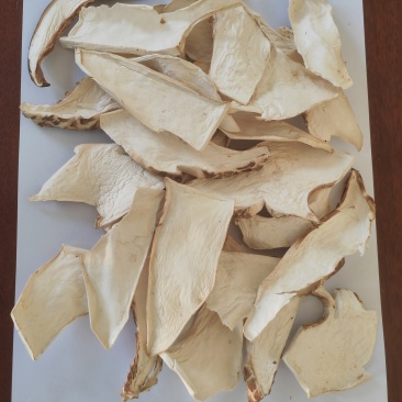 白虎掌菇片
