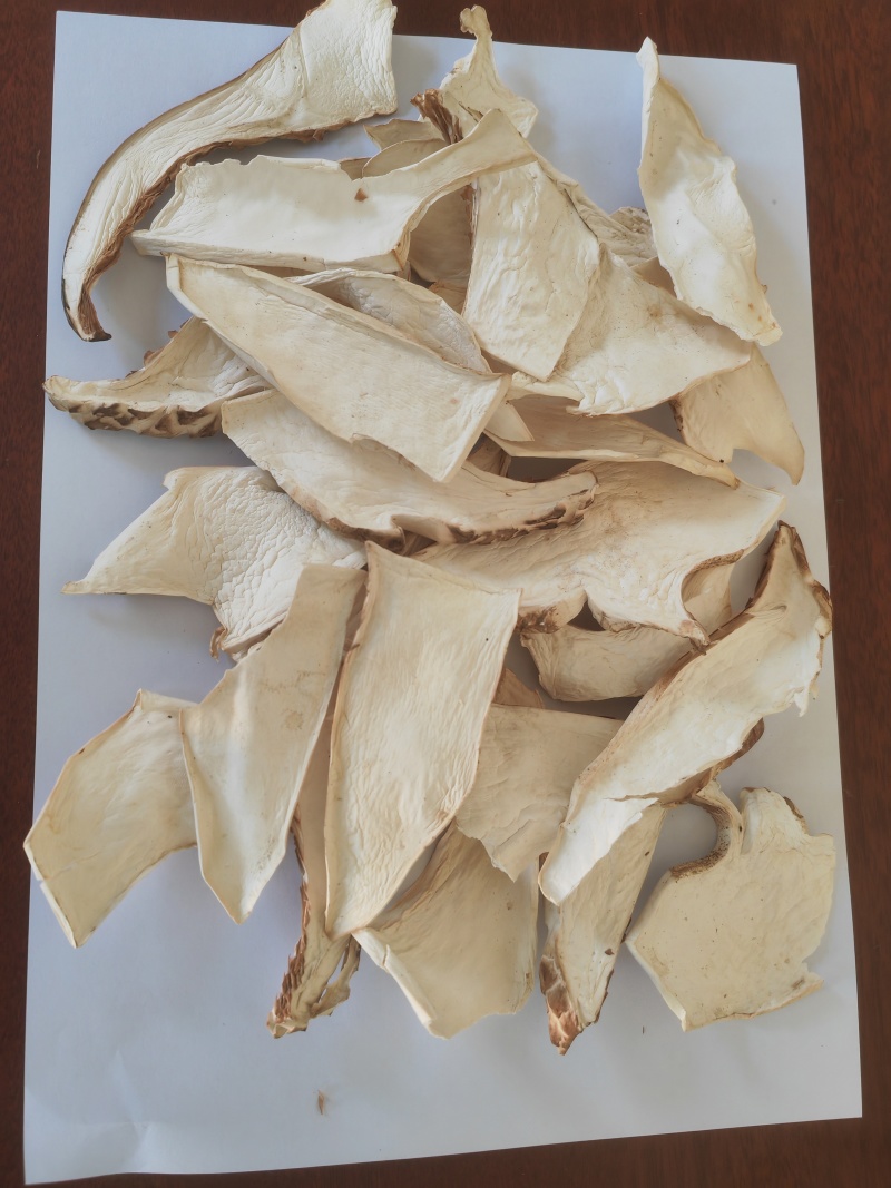 白虎掌菇片