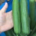 油皮丝瓜